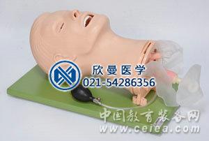 多功能氣道管理模型整體結構