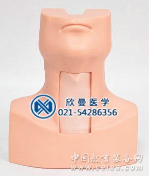 環甲膜穿刺模型整體結構
