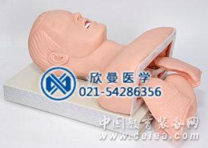 氣管插管模型側(cè)面