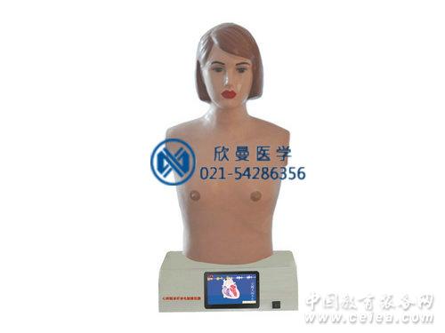 心肺聽診觸診電腦模擬人結構特征
